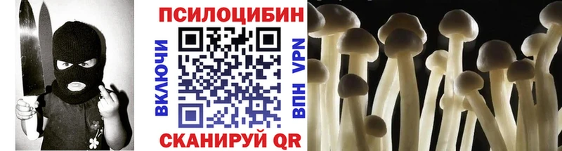 сколько стоит Яровое Псилоцибиновые грибы мухоморы