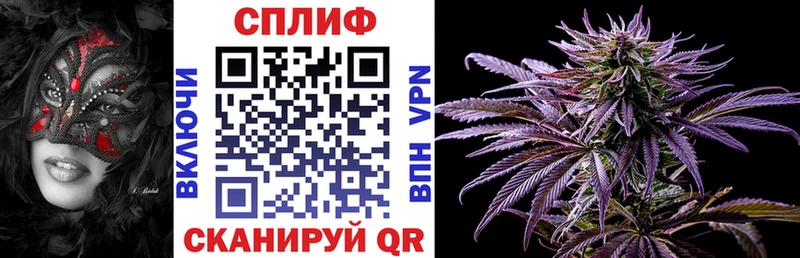 Конопля гибрид  Яровое 